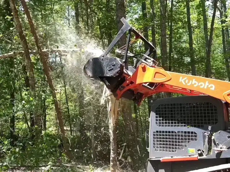 Forestry Mulching & Tree Trimming bastrop texas