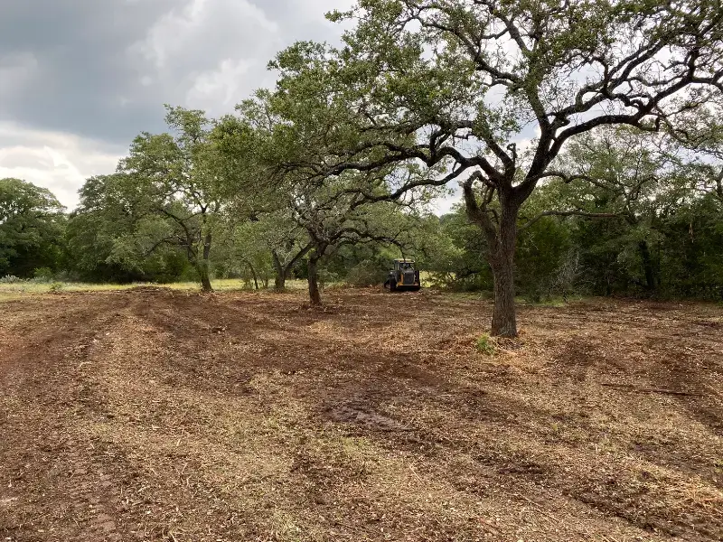 Forestry mulching project in San Marcos, Texas