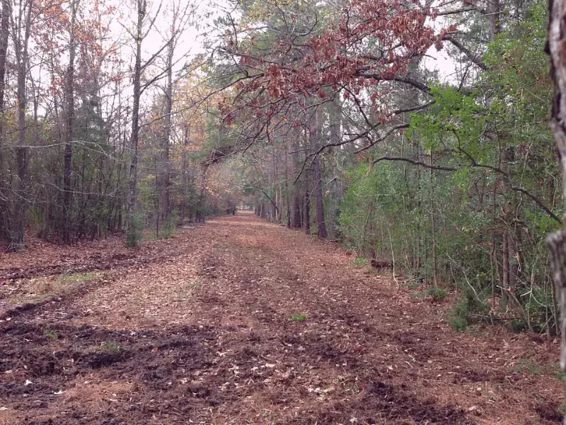 Right of way Land Clearing Trail - Wemberly Texas